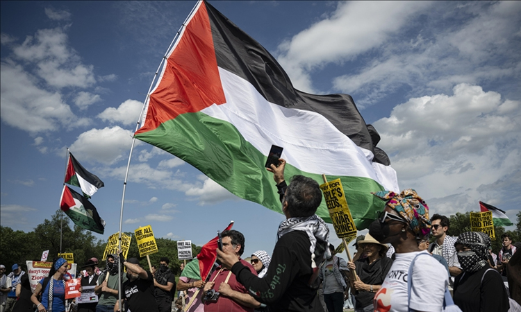 যুদ্ধ শুরুর পর ফিলিস্তিনে প্রথম নির্বাচন