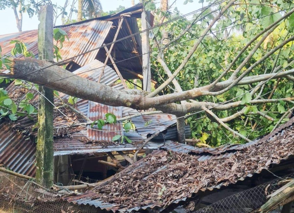 কালবৈশাখীর তাণ্ডবে লণ্ডভণ্ড ওসমানীনগর