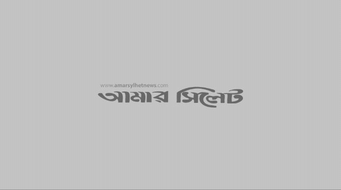 সিলেটসহ ১১ জেলায় বন্যাদুর্গতদের সহায়তায় বিজিবি মোতায়েন