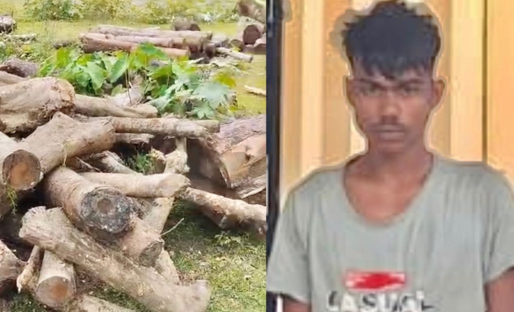 বিশ্বনাথে স-মিল থেকে চোরাই গাছ উদ্ধার, আটক ১