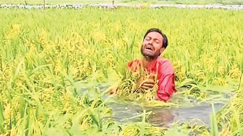 কৃষকদের ঘরে ঘরে আর্তনাদ
