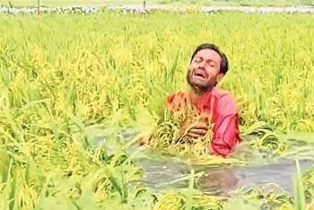কৃষকদের ঘরে ঘরে আর্তনাদ