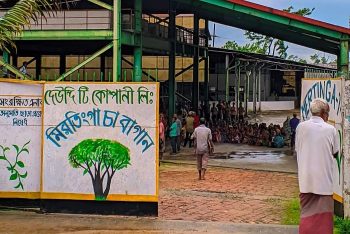 বেতনের দাবিতে ৪টি চা বাগানে ধর্মঘট: ঈদে হাহাকার শ্রমিক পরিবারে