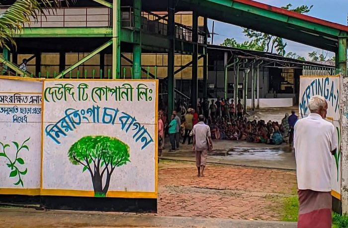বেতনের দাবিতে ৪টি চা বাগানে ধর্মঘট: ঈদে হাহাকার শ্রমিক পরিবারে