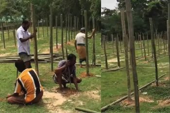 গোলাপগঞ্জে প্রস্তুত হচ্ছে পশুর হাটগুলো
