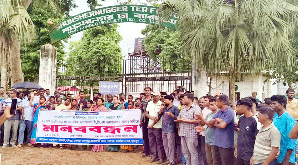 কমলগঞ্জে বন্ধ হাসপাতাল চালুর দাবিতে চা শ্রমিকদের মানববন্ধন