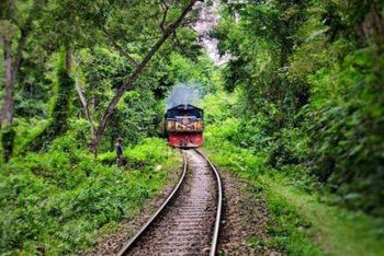 আপনাকে ডাকছে জলপ্রপাত বৃষ্টি বন জীববৈচিত্র্য  