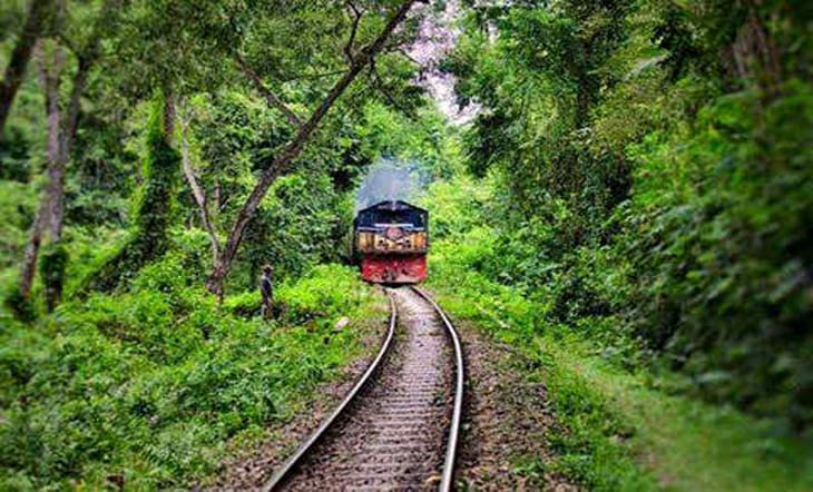আপনাকে ডাকছে জলপ্রপাত বৃষ্টি বন জীববৈচিত্র্য  