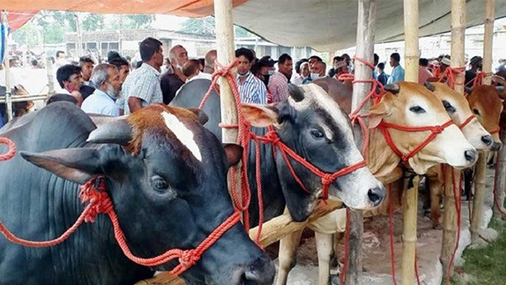 সীমান্তে সক্রিয় চোরাকারবারি, দুশ্চিন্তায় খামারি