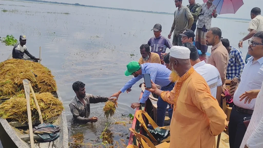 মৌলভীবাজারে ক্ষতিগ্রস্ত কৃষকদের পাশে জেলা প্রশাসক