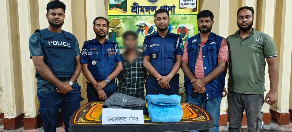 শ্রীমঙ্গল ২ কেজি গাঁজাসহ মাদক কারবারি গ্রেফতার