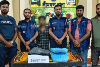 শ্রীমঙ্গল ২ কেজি গাঁজাসহ মাদক কারবারি গ্রেফতার
