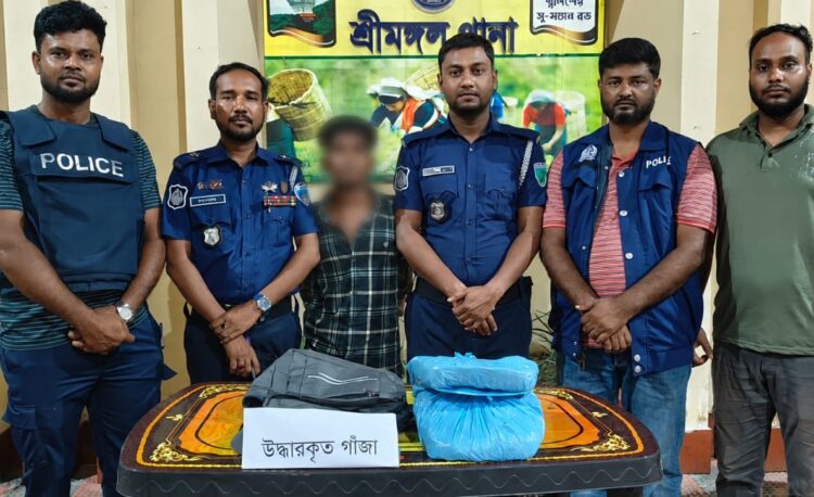 শ্রীমঙ্গল ২ কেজি গাঁজাসহ মাদক কারবারি গ্রেফতার