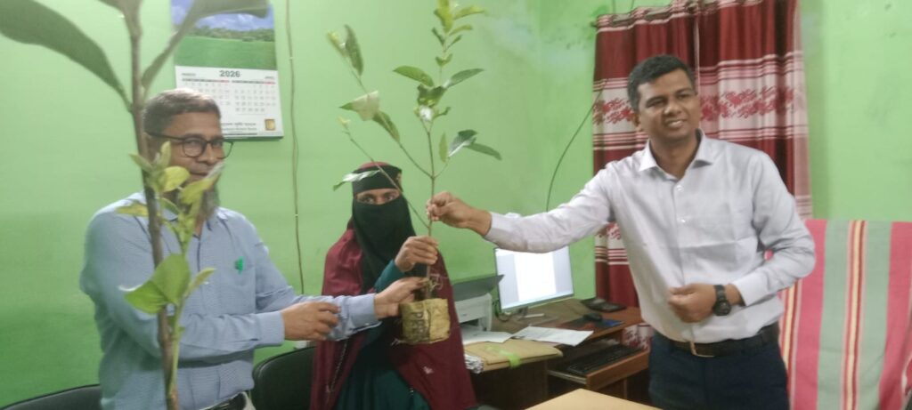 ছাতকে পিডিবিএফের চারা বিতরণ ও সবজি চাষ বিষয়ক প্রশিক্ষন সম্পন্ন