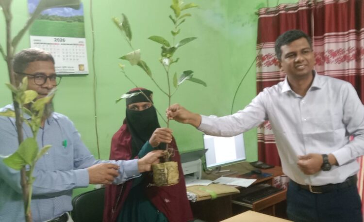 ছাতকে পিডিবিএফের চারা বিতরণ ও সবজি চাষ বিষয়ক প্রশিক্ষন সম্পন্ন