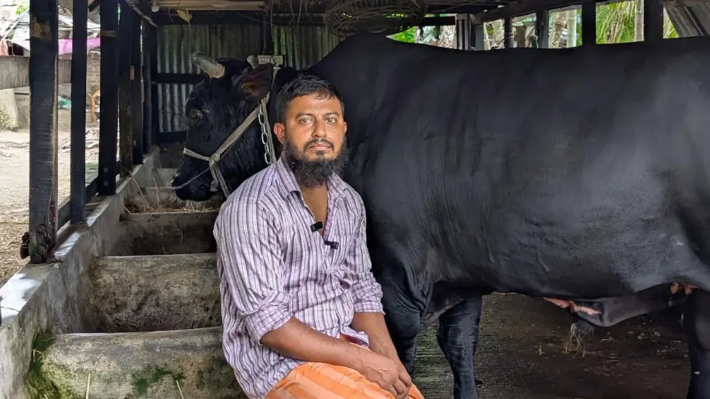 খালেদা জিয়াকে ‘কালো মানিক’ উপহার দেওয়া সোহাগ মৃধা গ্রেপ্তার