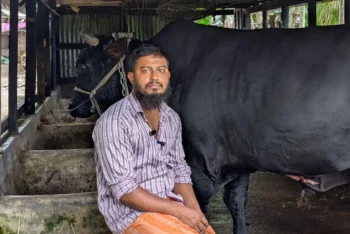 খালেদা জিয়াকে ‘কালো মানিক’ উপহার দেওয়া সোহাগ মৃধা গ্রেপ্তার