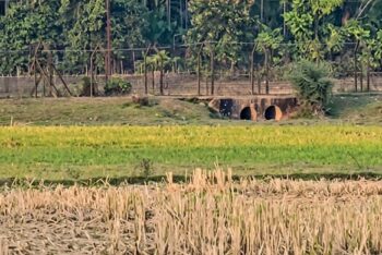 বাংলাদেশী ও ভারতীয় নাগরিকদের মধ্যে উত্তেজনা
