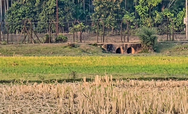 বাংলাদেশী ও ভারতীয় নাগরিকদের মধ্যে উত্তেজনা