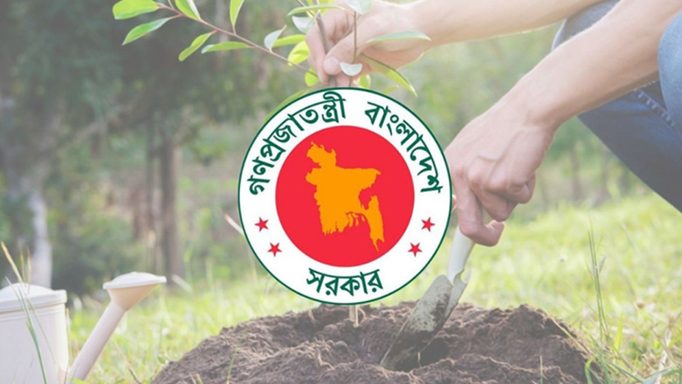 ২৫ কোটি গাছ রোপণ করে বিলিয়ন ডলার আয় করতে পারে বাংলাদেশ