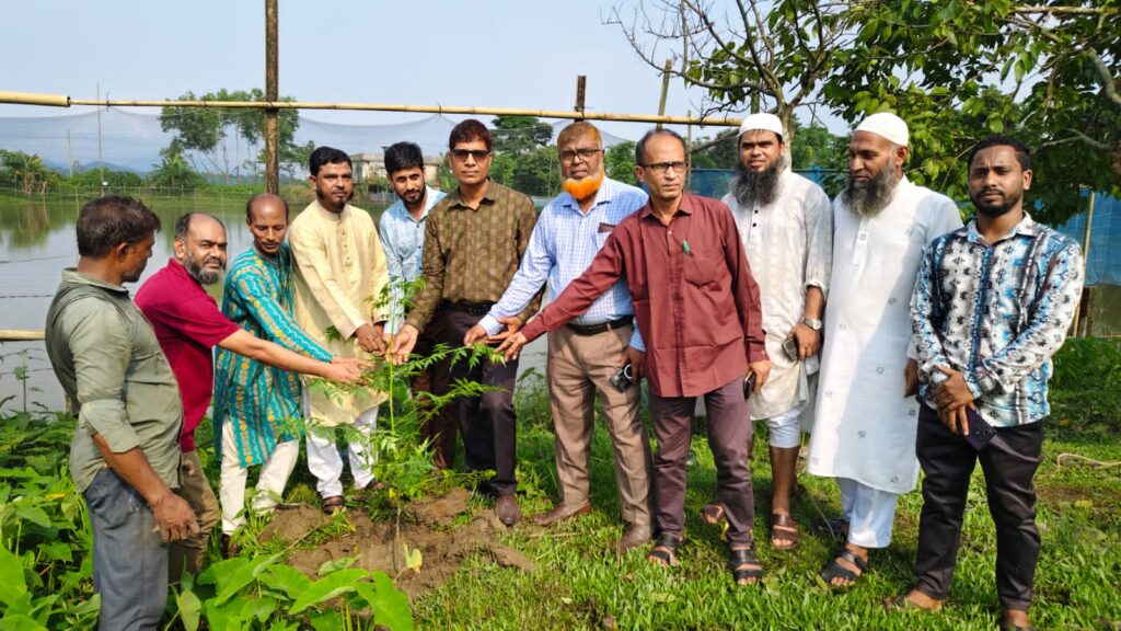জৈন্তাপুরে বৃক্ষরোপন কর্মসূচির উদ্বোধন