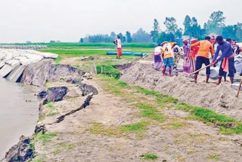 সুরমা নদীতে ভাঙন ভিটেমাটি হারিয়ে দিশাহারা মানুষ