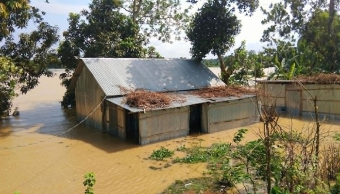 মৌলভীবাজার-হবিগঞ্জে বন্যা সহায়তা: ১৫ লাখ টাকা, ৩০০ মেট্রিক টন চাল বরাদ্দ