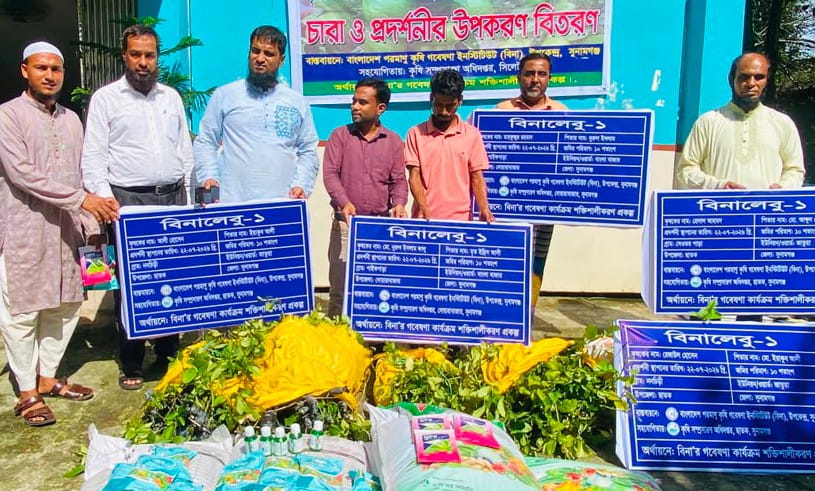 ছাতকে কৃষক দের মধ্যে বিনা লেবু জাতের চারা ও সার বিতরণ