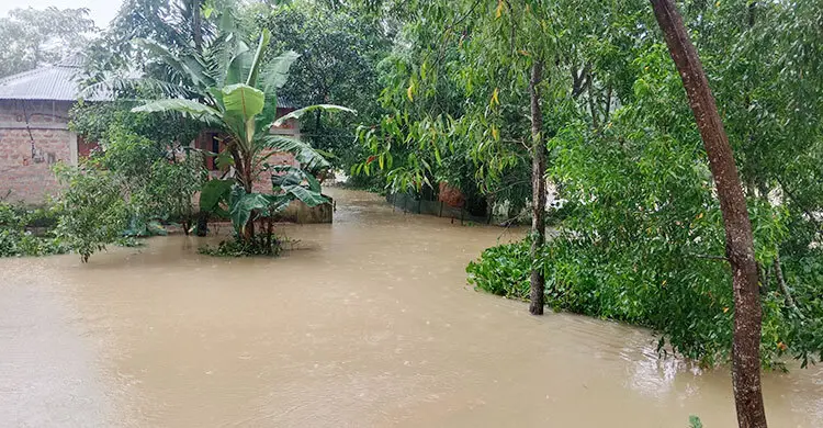 হবিগঞ্জ-মৌলভীবাজারে বন্যা পরিস্থিতির উন্নতি