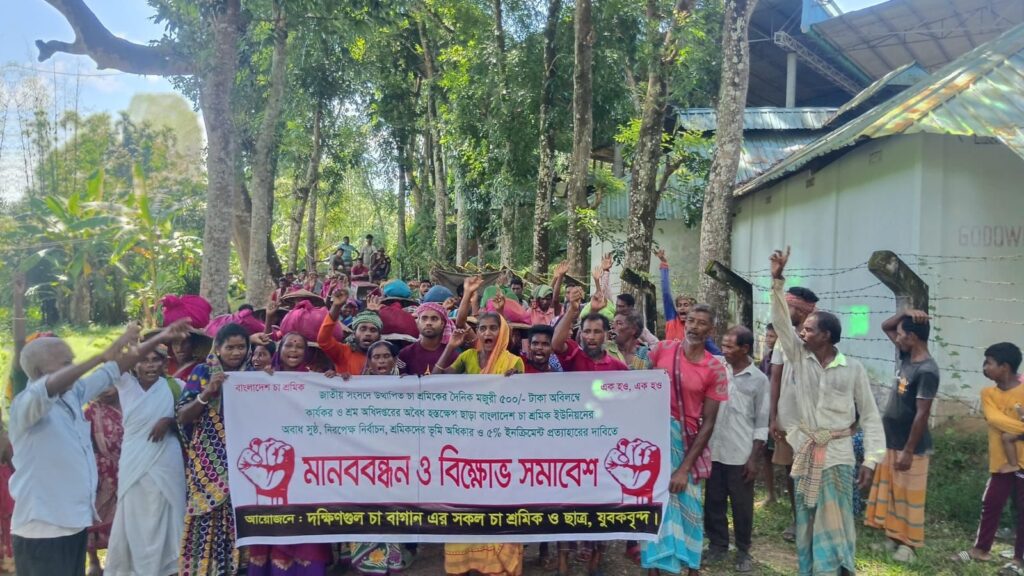 বড়লেখায় ৫০০ টাকা মজুরিসহ পাঁচ দফা দাবিতে চা শ্রমিকদের মানববন্ধন-বিক্ষোভ