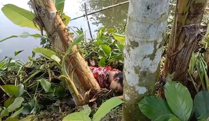 হবিগঞ্জে বড় ভাইয়ের ছুরিকাঘাতে ছোট বোন নিহত