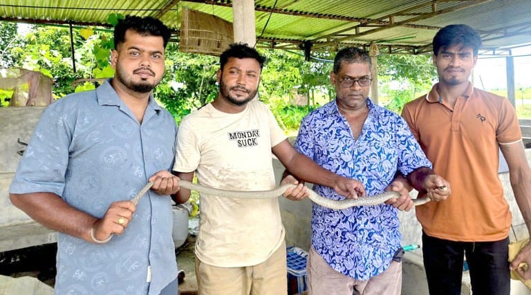 শ্রীমঙ্গলে লোকালয় থেকে ৪ বন্যপ্রাণি উদ্ধার