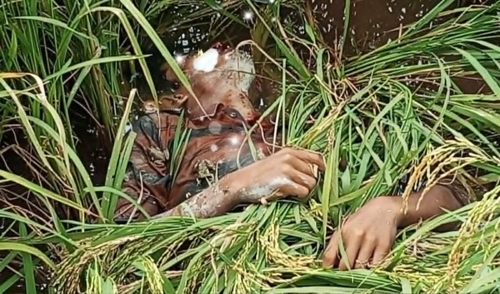 চুনারুঘাটে ধানের জমিতে যুবকের মরদেহ