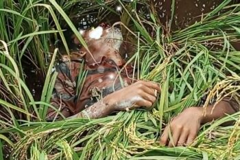 চুনারুঘাটে ধানের জমিতে যুবকের মরদেহ