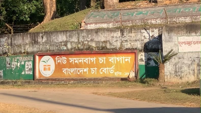 বড়লেখায় চা বাগানে বিষপানে চা শ্রমিক নারীর মৃত্যু