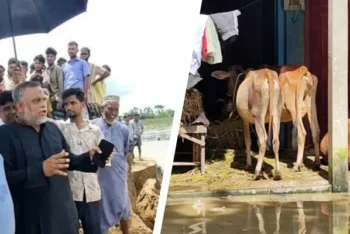 খোয়াই নদীর বাঁধ ভেঙে ২২ গ্রাম প্লাবিত, ১৫ দিনের মধ্যে সংস্কারের নির্দেশ