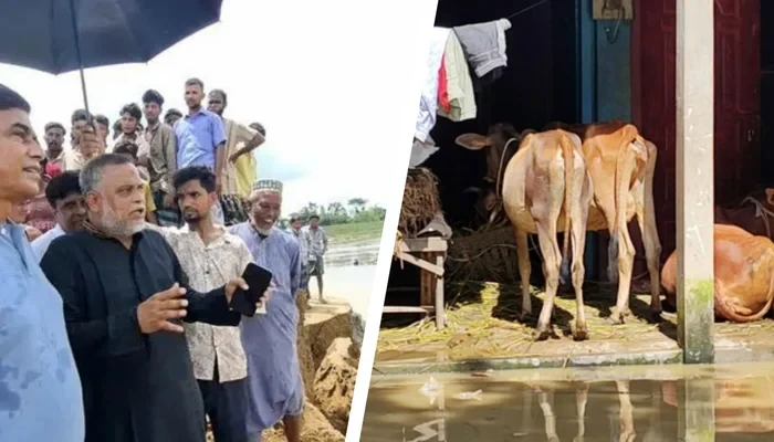 খোয়াই নদীর বাঁধ ভেঙে ২২ গ্রাম প্লাবিত, ১৫ দিনের মধ্যে সংস্কারের নির্দেশ