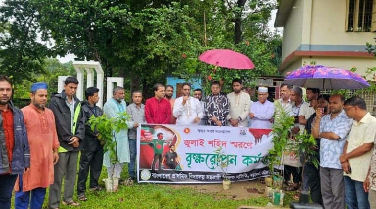 বড়লেখায় জুলাই শহীদদের স্মরণে সহকারী শিক্ষক সমিতির মাসব্যাপী বৃক্ষরোপণ কর্মসূচি