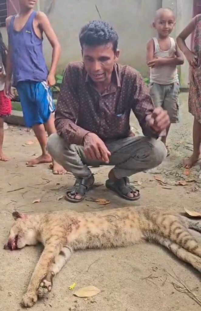 গোয়াইনঘাটে মেছো বাঘ পিটিয়ে হত্যা, জড়িতদের আইনের আওতায় আনার দাবী 