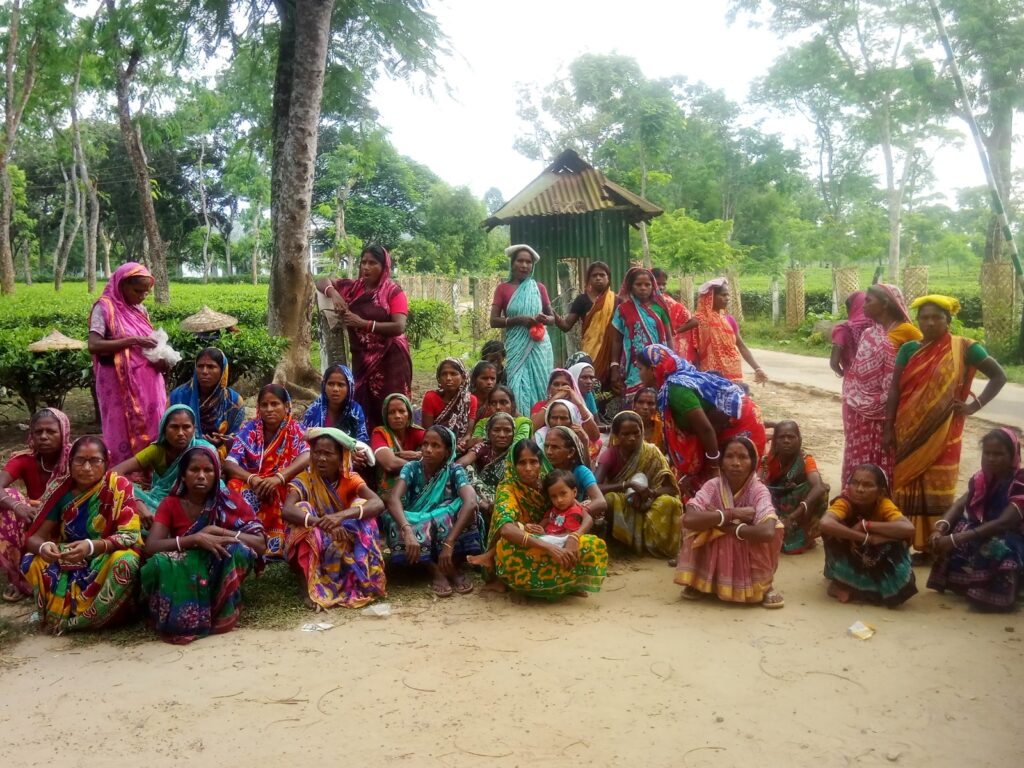 কমলগঞ্জে কানিহাটি চা বাগানে শ্রমিকদের কর্মবিরতি ও বিক্ষোভ