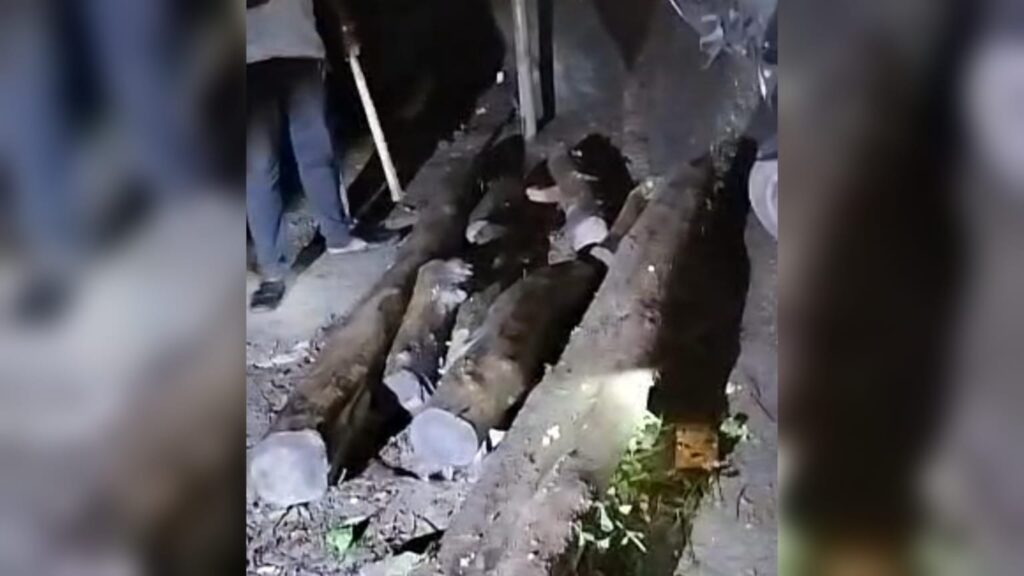 গোয়াইনঘাটে সড়কে গাছ ফেলে ডাকাতির প্রস্তুতি, পুলিশের গাড়িতে ইটপাটকেল নিক্ষেপ