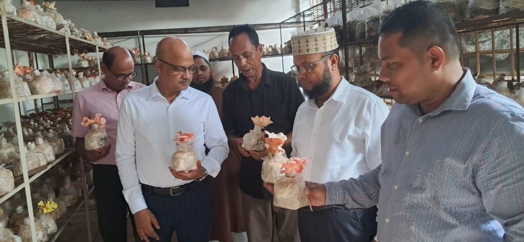 মাশরুম চাষী সৈয়দুর রহমানের প্রকল্প পরিদর্শনে পরিকল্পনা মন্ত্রণালয়ের উপসচিব