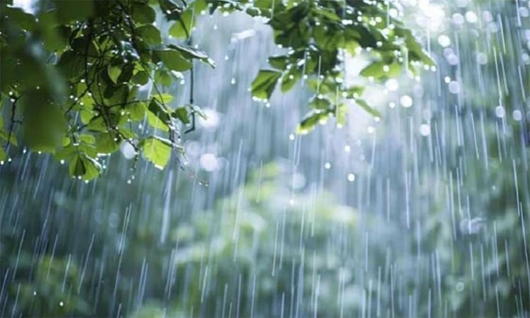 সিলেটসহ দেশের ছয় জেলায় বৃষ্টির পূর্বাভাস
