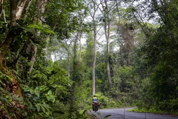 পানি সংকটে সাতছড়ির বন্যপ্রাণী