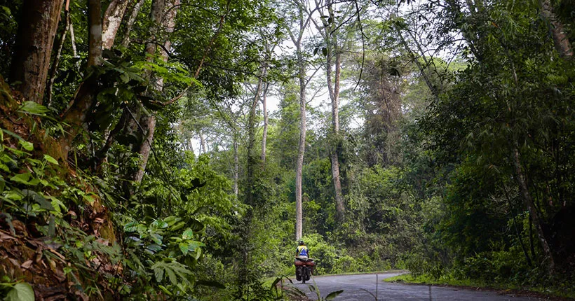 পানি সংকটে সাতছড়ির বন্যপ্রাণী