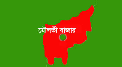 মৌলভীবাজারে চলন্ত টমটম থেকে কলেজ ছাত্রীর লাফ