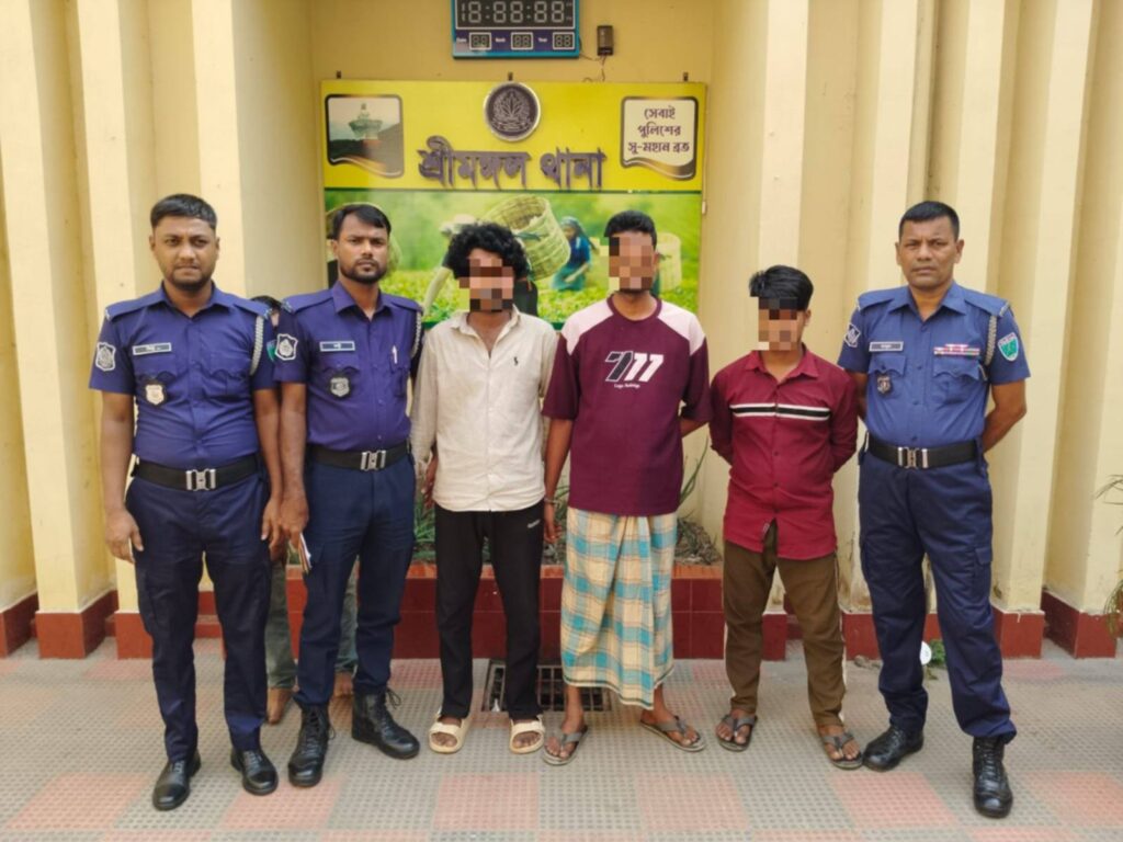 শ্রীমঙ্গলে কিশোরীকে ধর্ষণের অভিযোগে ৩ আসামি গ্রেফতার