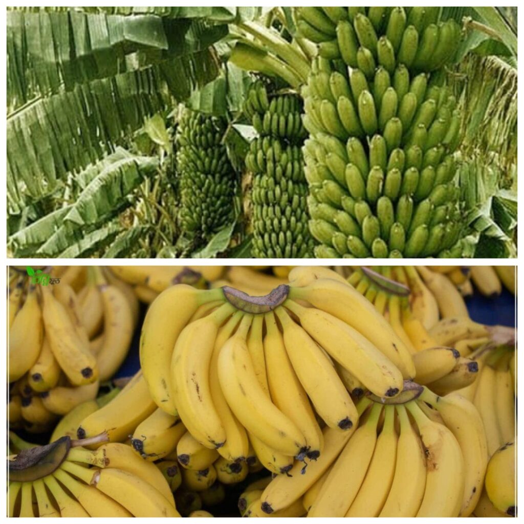 এই সাগর, সেই সাগর নয়