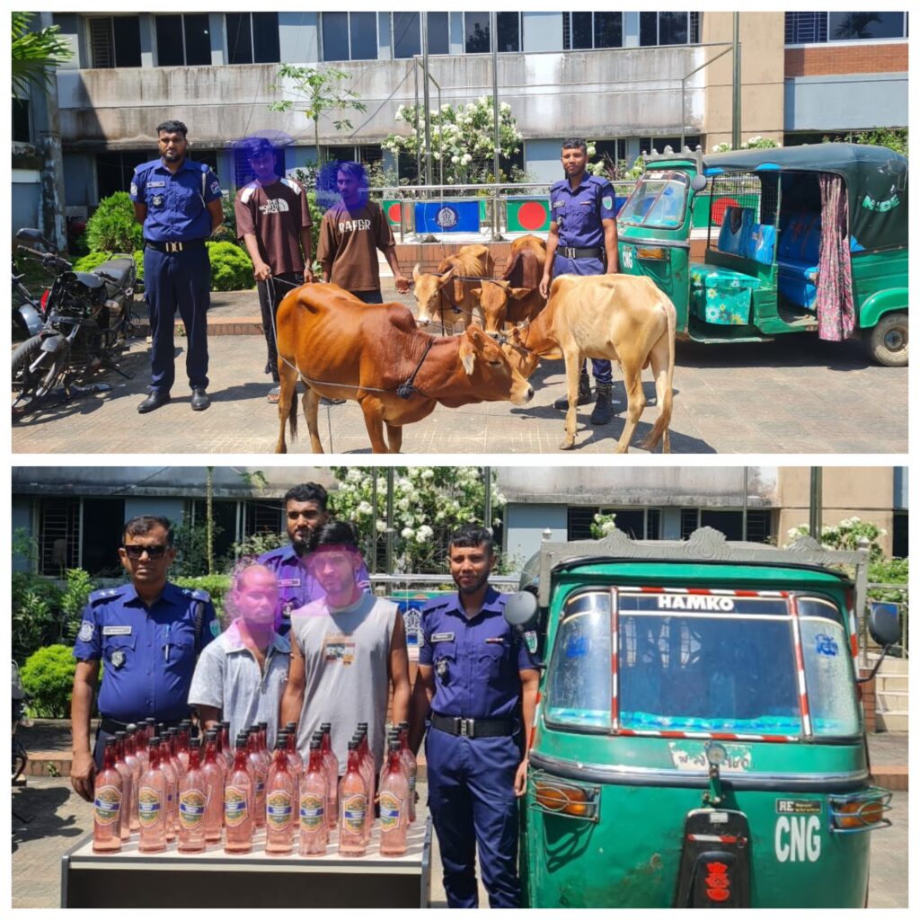 বড়লেখায় ৪টি ভারতীয় গরু ও ৪০ লিটার দেশীয় মদসহ গ্রেপ্তার-৪