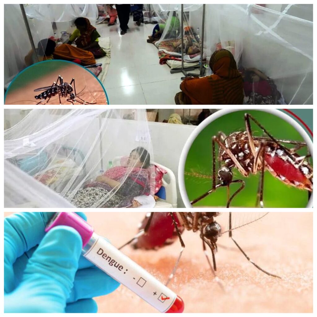 ডেঙ্গু: একটি নীরব জেনোসাইড, আমাদের অবহেলার রক্তাক্ত দলিল